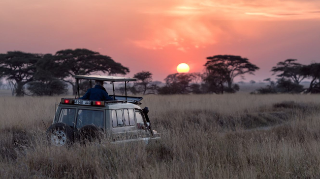 Northern Serengeti