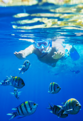 Maldives for First Timers