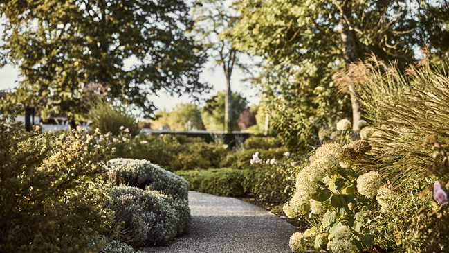 Puligny-Montrachet → Beaune