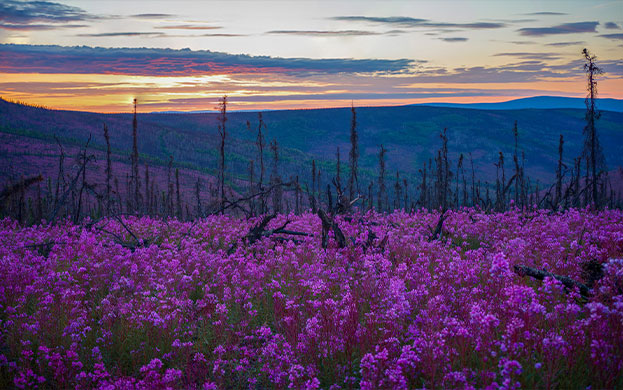 Hilton Moorea Lagoon Resort & Spa
