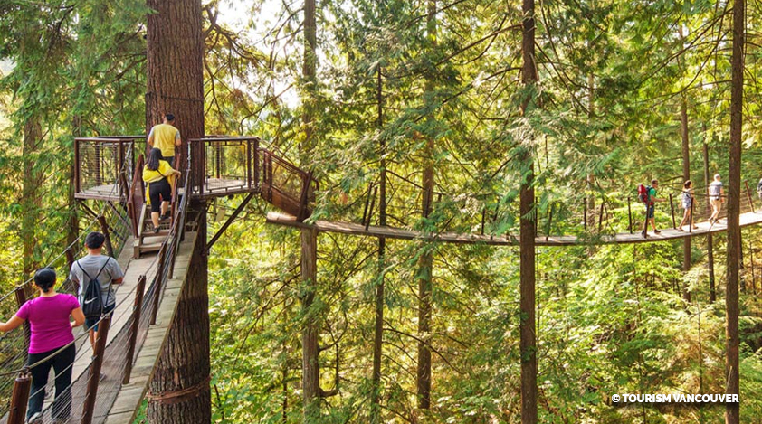 8 Ways to Experience the Wilderness Near Vancouver | Entire Travel Group