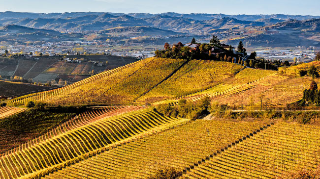Langhe region