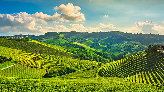 Turin → Alba & Langhe → Pollenzo