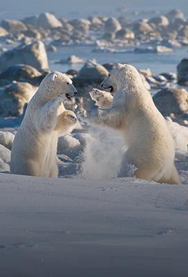 CANADA HOLIDAYS ON SALE NOW