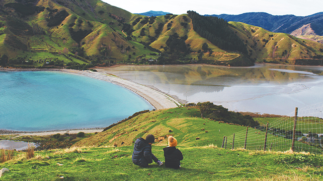 Wellington → Nelson Bay