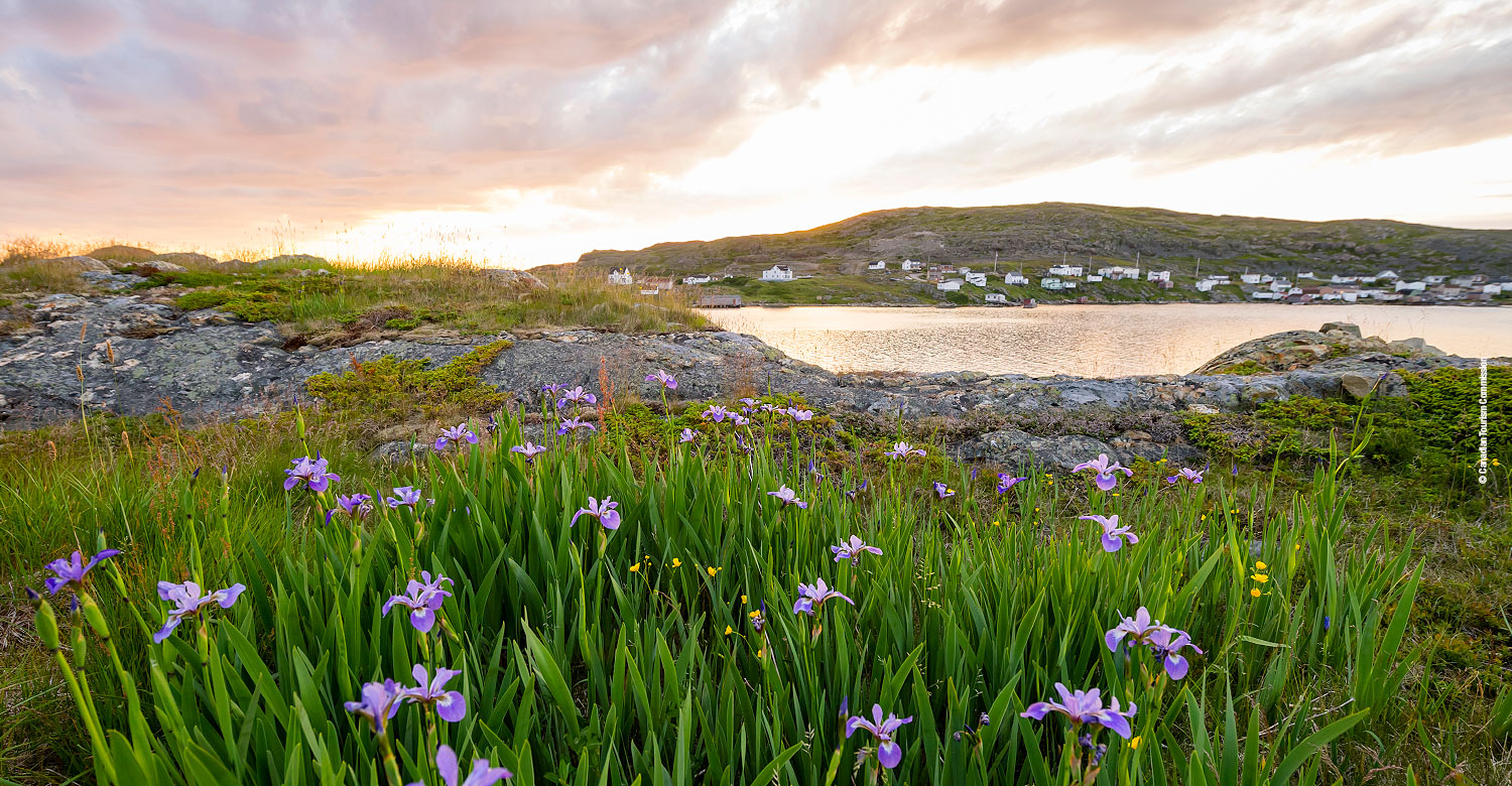 The otherworldly beauty of Fogo Island