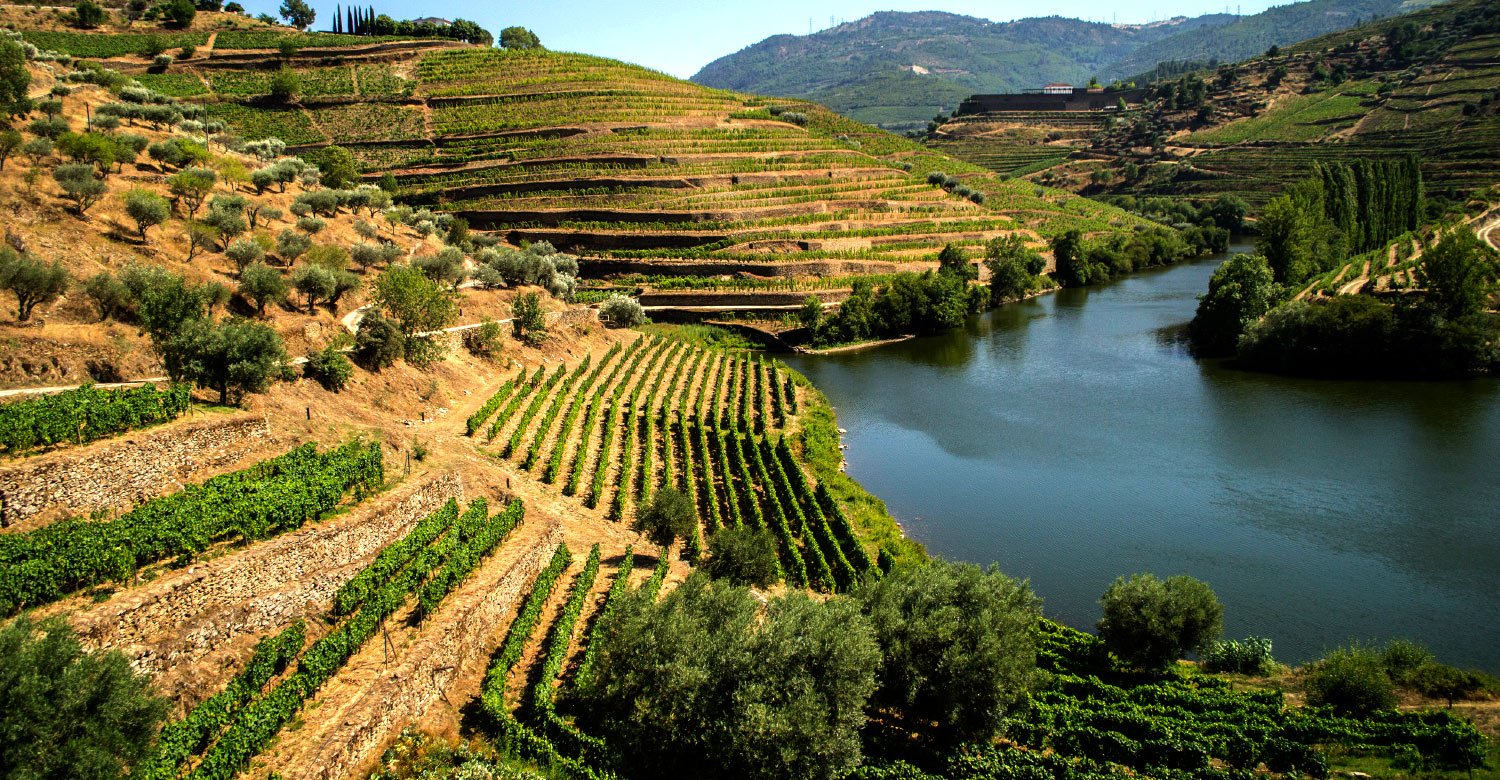 Discover the charm of Northern Portugal with a scenic Douro cruise.
