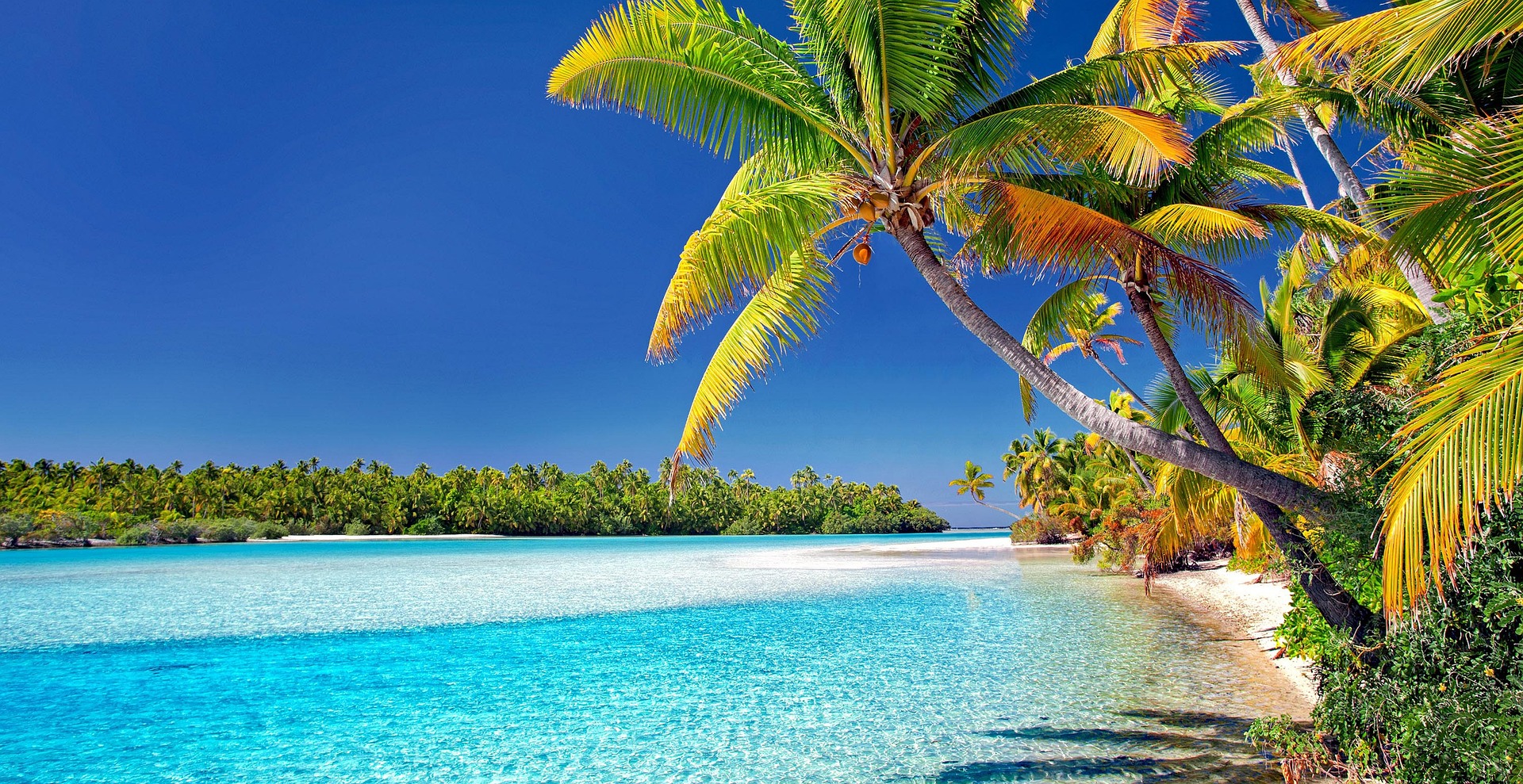 What You Need to Know About the Cook Islands - Entire Travel Group