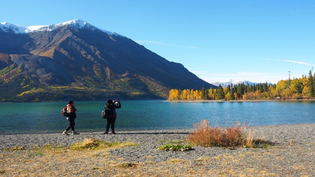 Whitehorse → Haines Junction