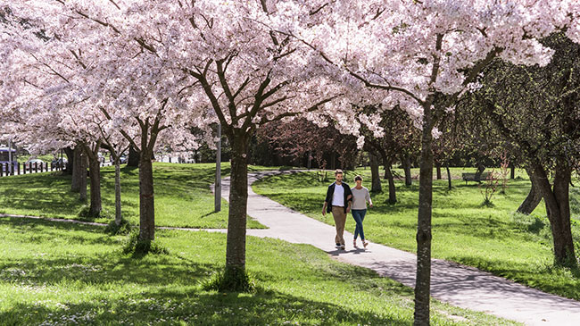 Christchurch