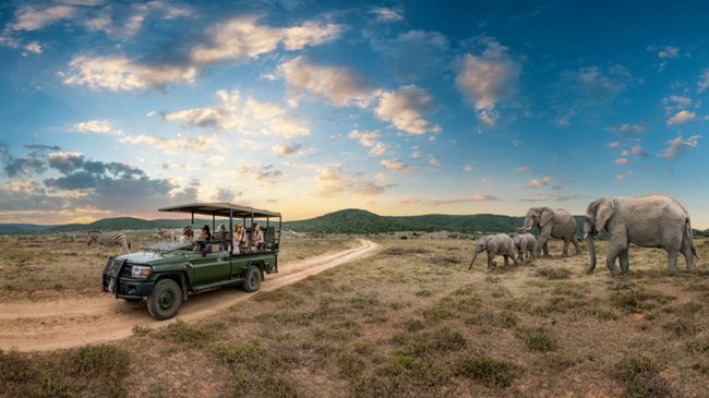 Shamwari Private Game Reserve