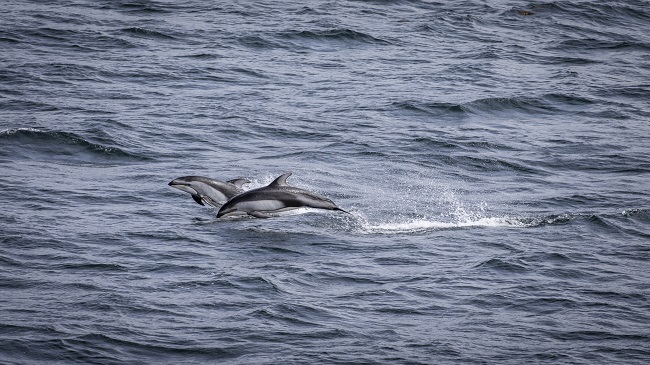 Canada's Inside Passage