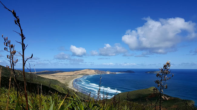 Auckland