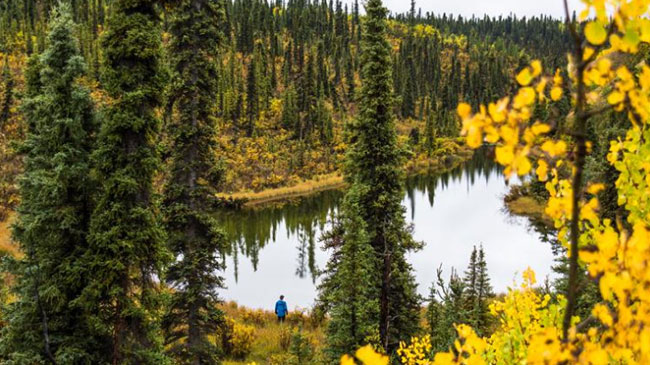 Hains Junction → Kluane National Park → Hains Junction