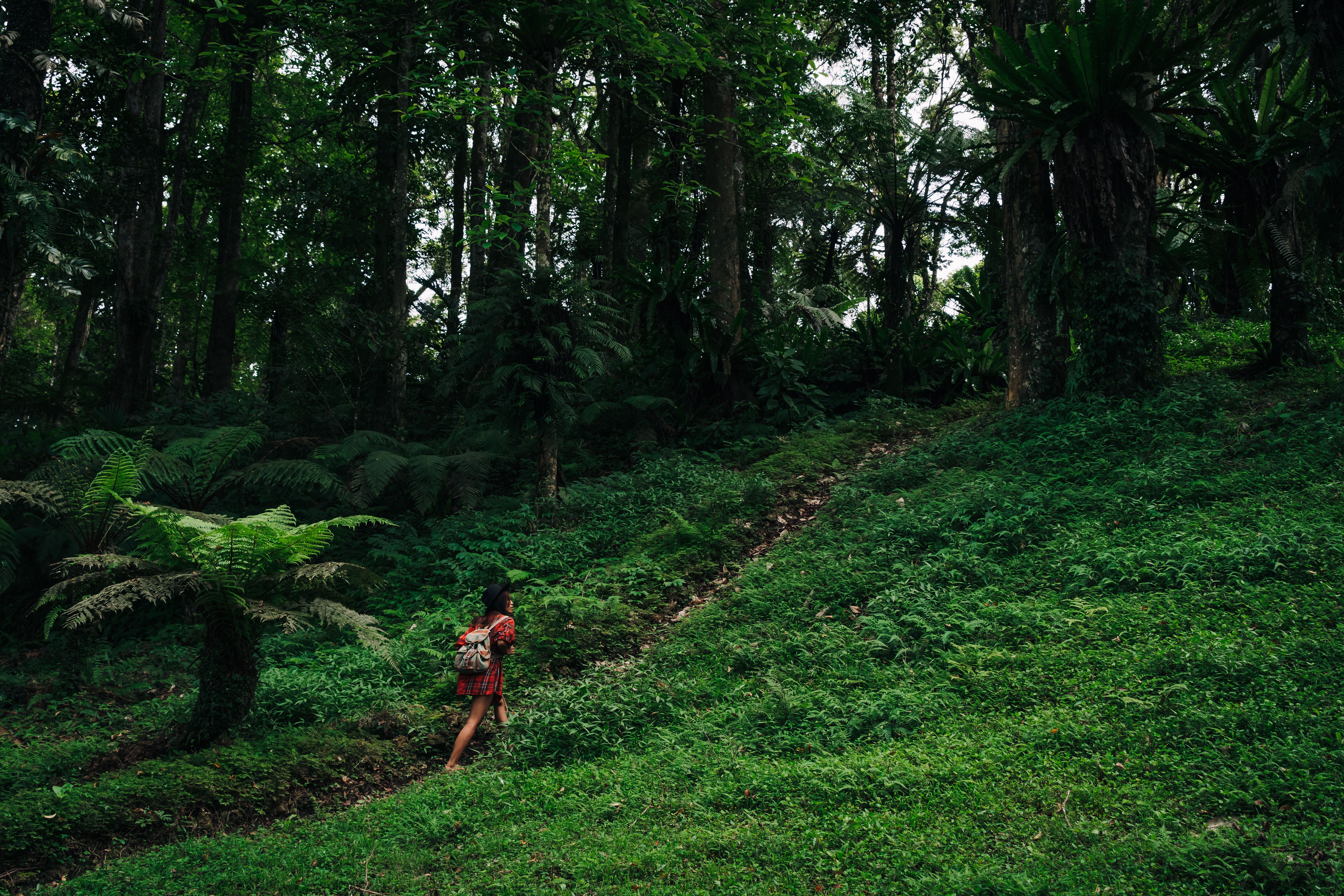 Cook Islands for Active Travellers: Hiking, Cycling and Lagoon Adventures