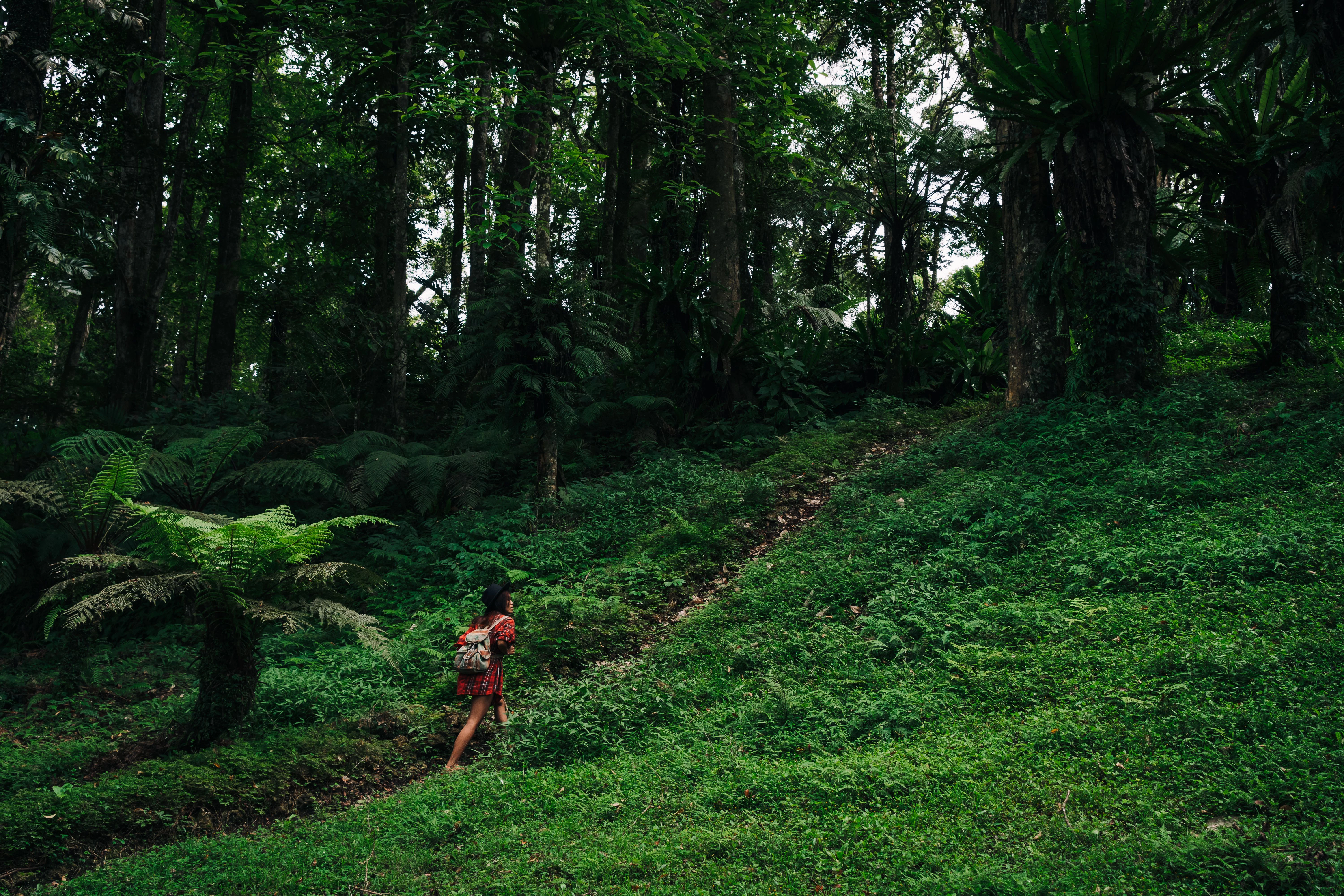 Cook Islands for Active Travellers: Hiking, Cycling and Lagoon Adventures