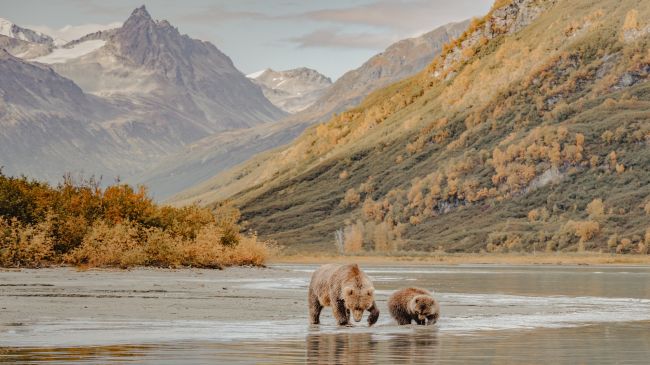 Explora Journeys: Wrangell