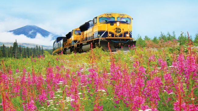 Denali → Anchorage | Alaska Railroad