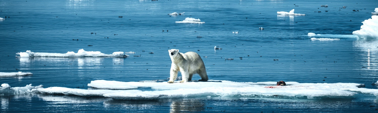 Hilton Moorea Lagoon Resort & Spa