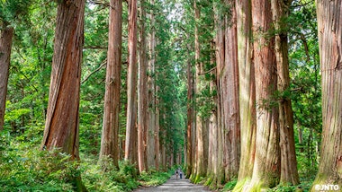 Breathtaking natural vistas and experiences