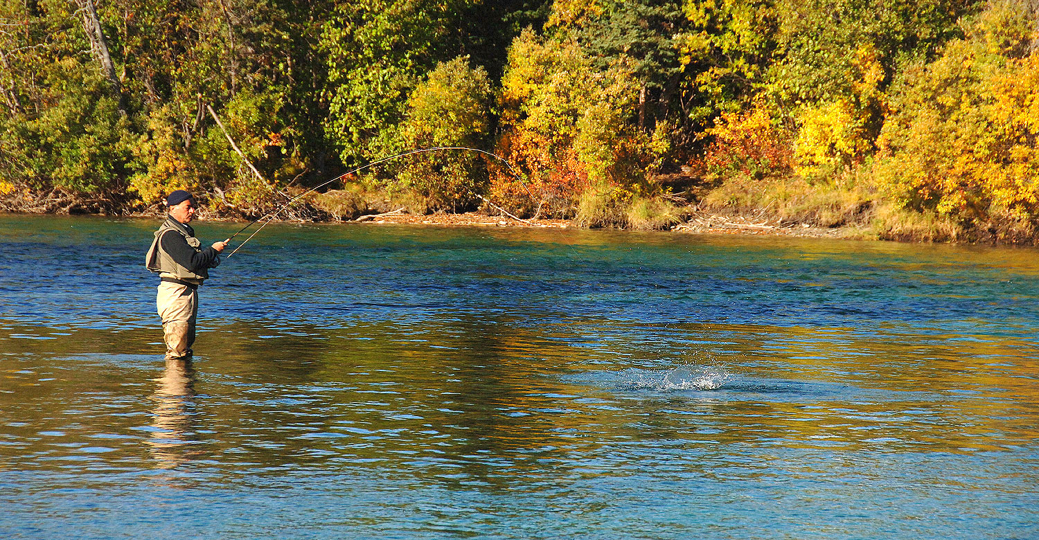 Yukon is the perfect location for a fishing safari.