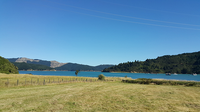 Blenheim