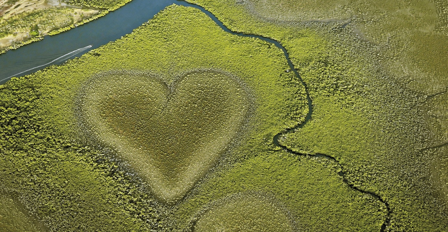 Hilton Moorea Lagoon Resort & Spa