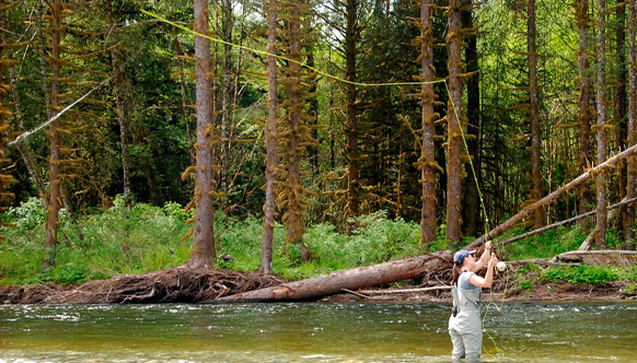 Phillips River Ecological & Cultural Tour