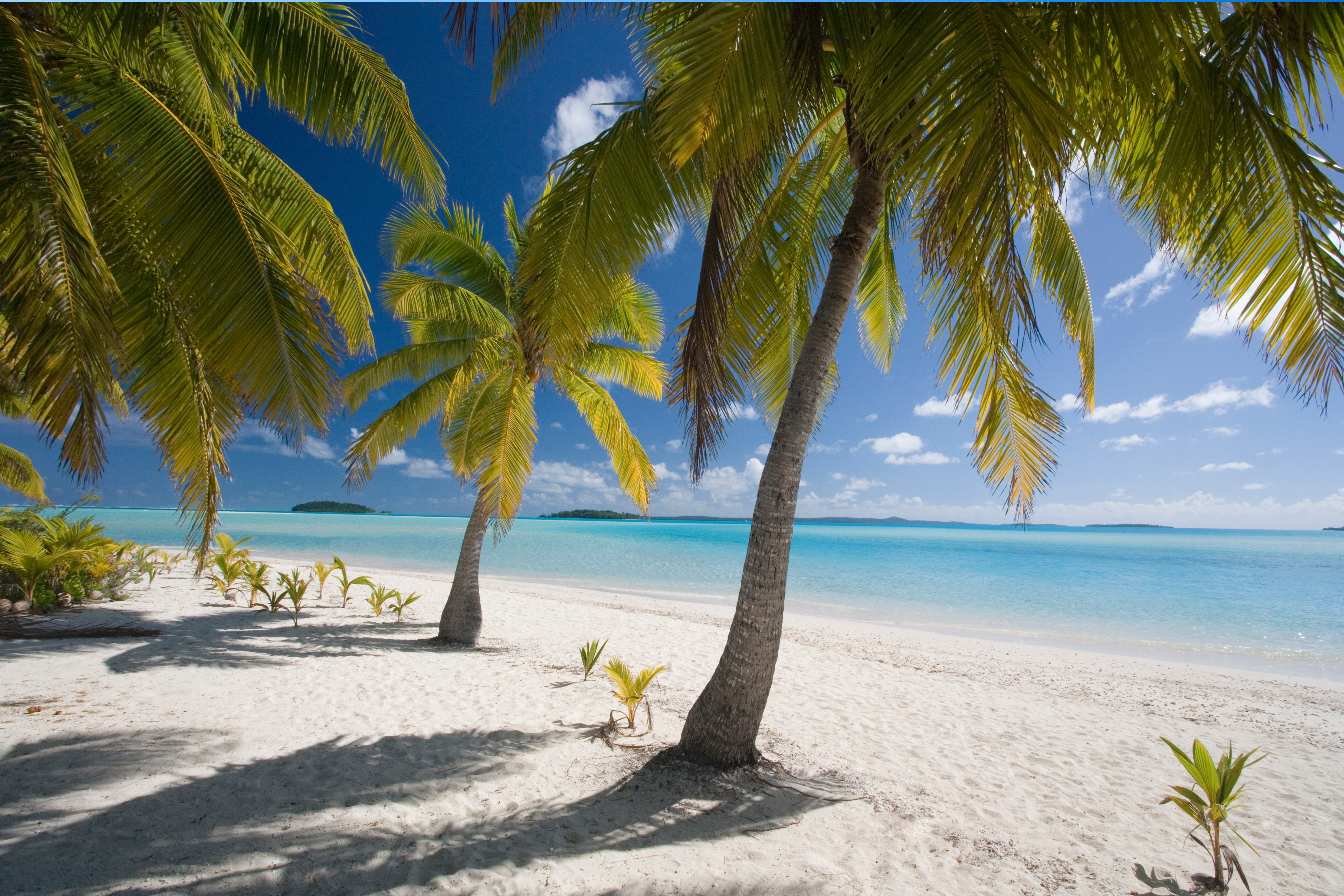 Island-Hopping in the Cook Islands: A Tailored Escape Across Rarotonga and Aitutaki