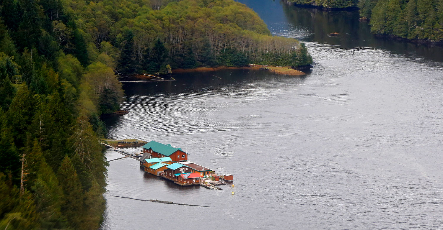 The Great Bear Lodge is the ideal base for photography and wildlife viewing tours.