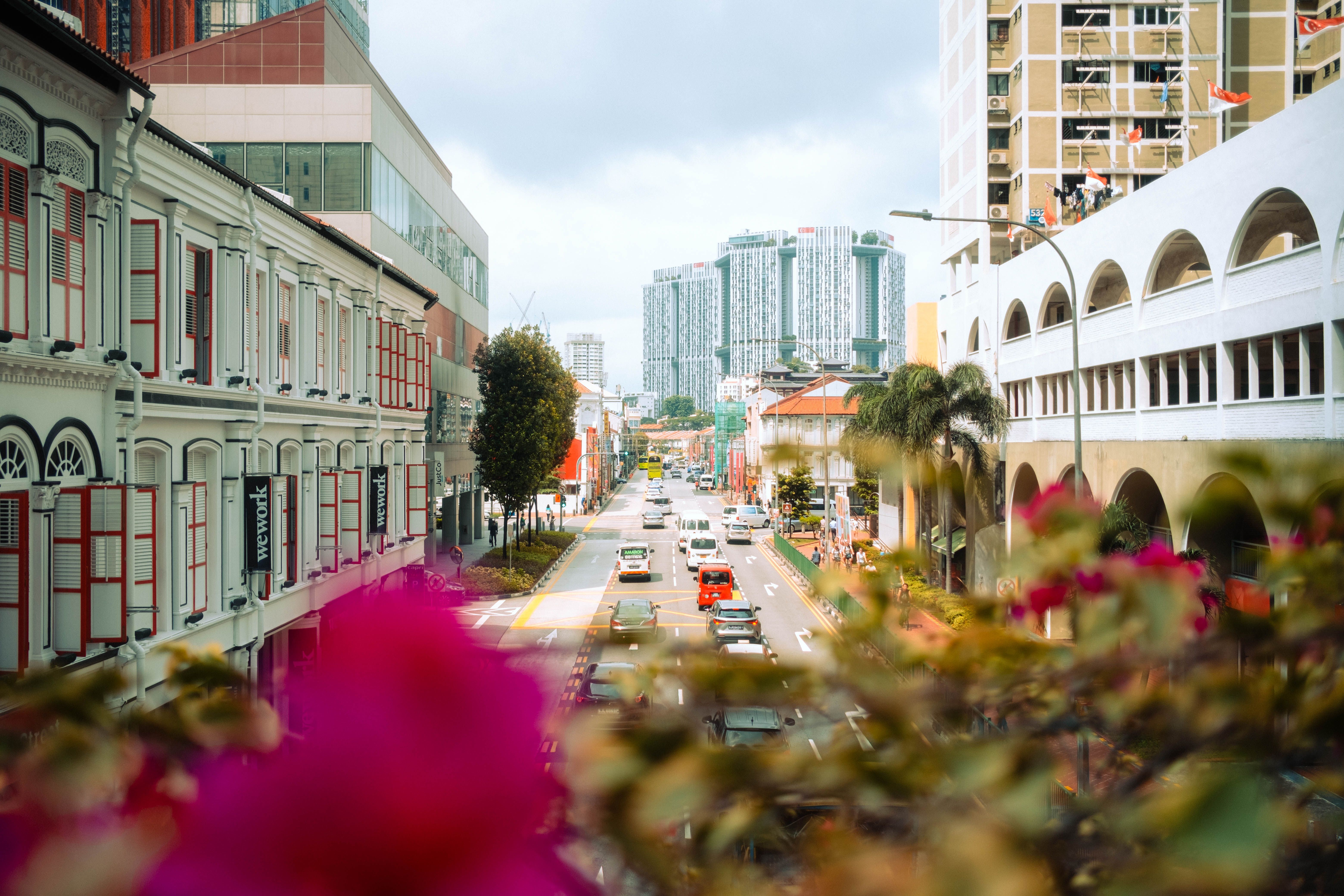 Singapore Stopover Guide: What to See, Eat and Explore in 3–5 Days