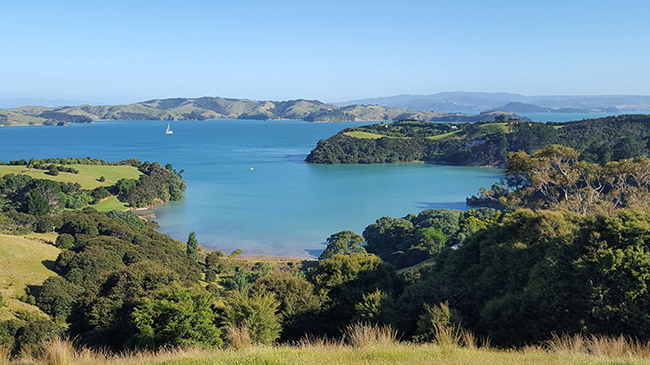 Auckland