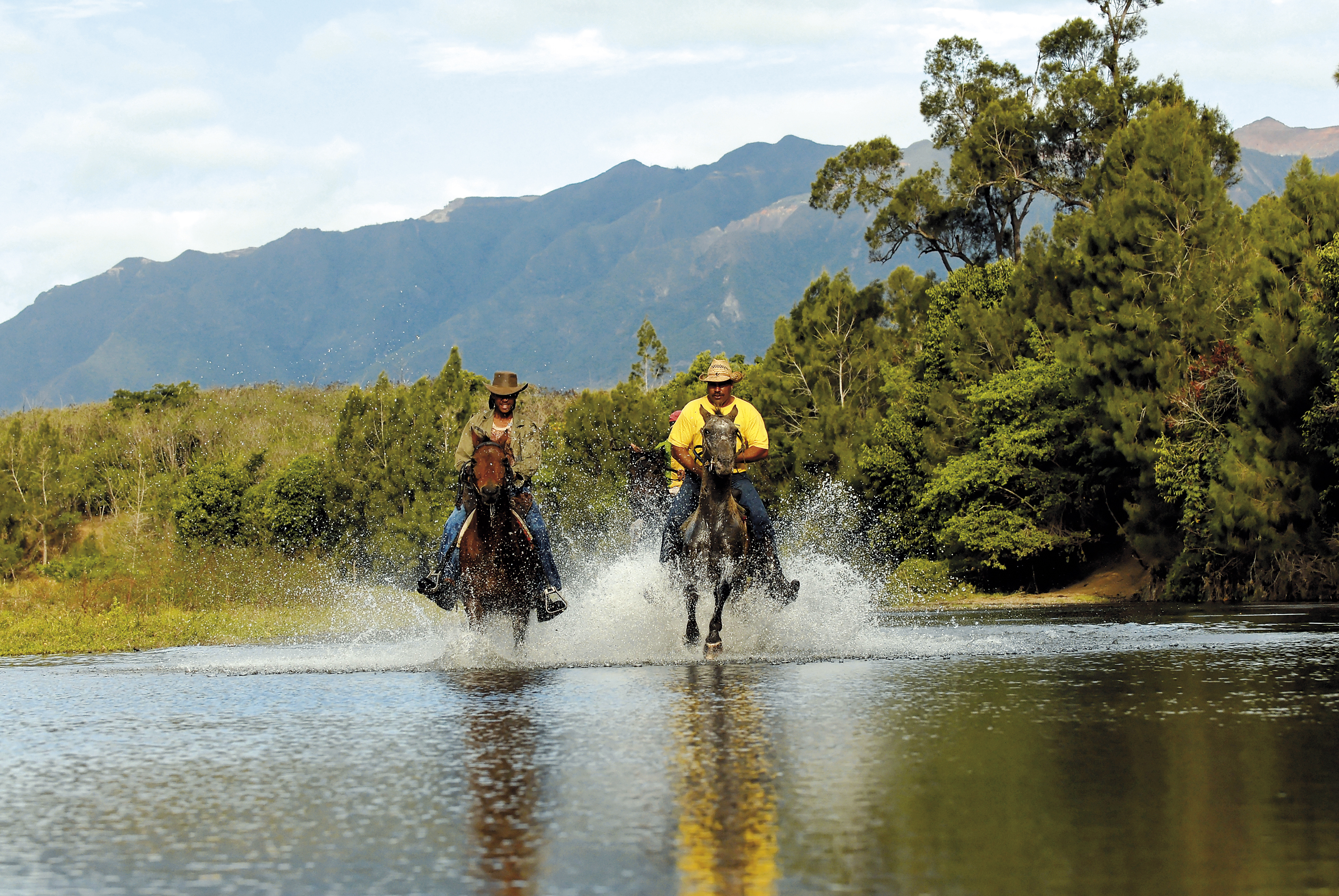 An amazing adventure playground
