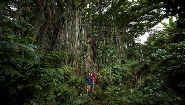 Vanuatu