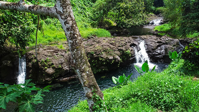 Sinalei Reef Resort & Spa