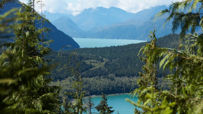 Knight Inlet