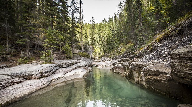 Rocky Mountaineer: Kamloops → Jasper
