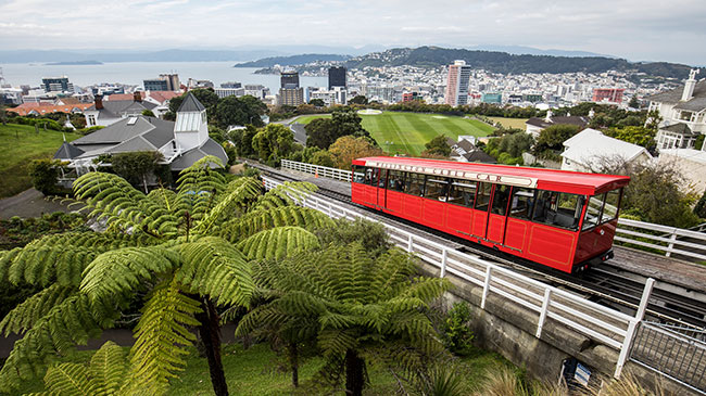 Wellington