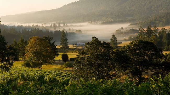 Victoria → Salt Spring Island