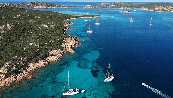 Maddalena's Archipelago with Private Guide