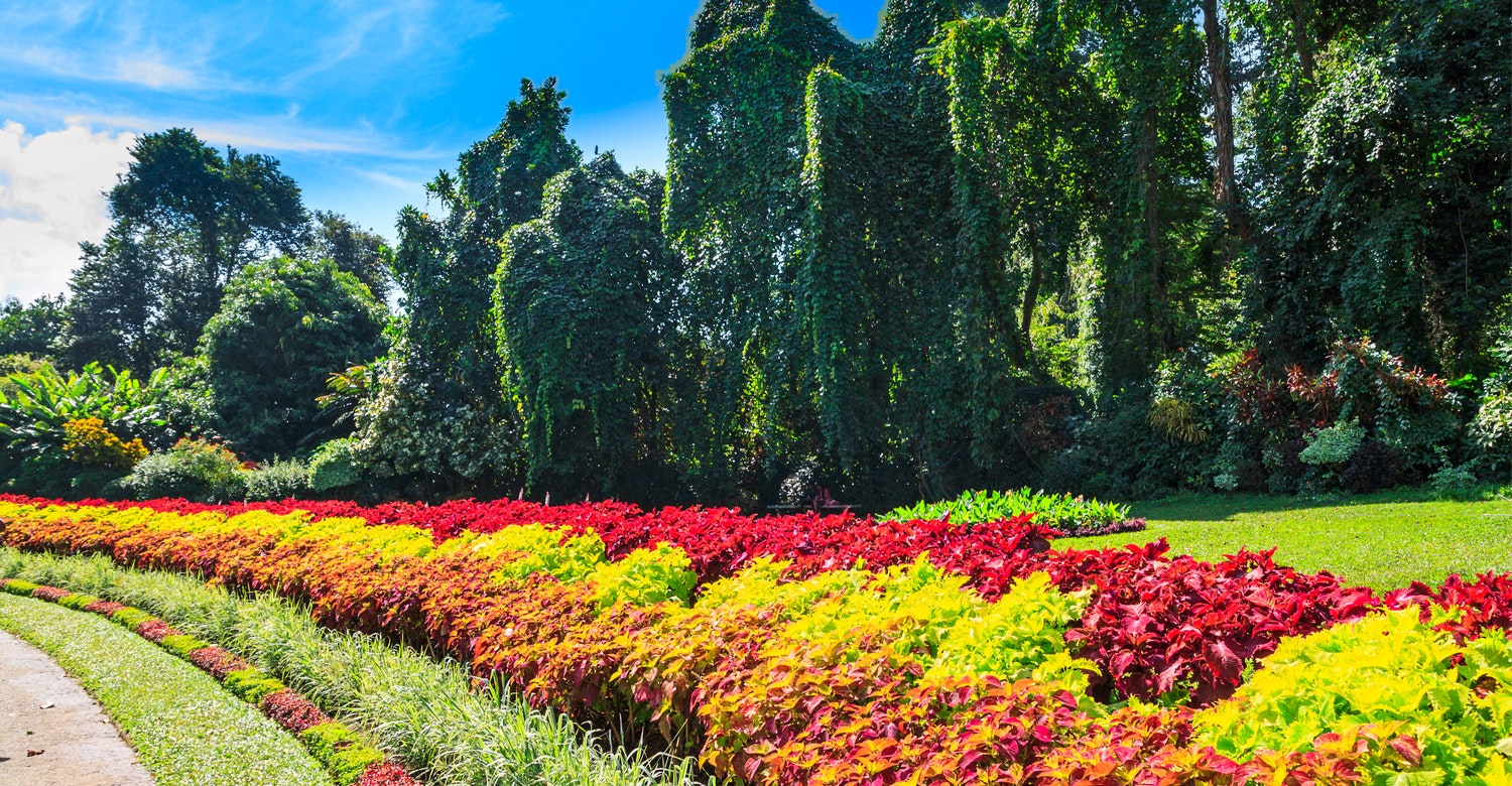 Hilton Moorea Lagoon Resort & Spa