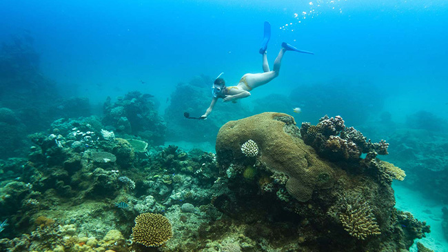 Royal Davui Island Resort