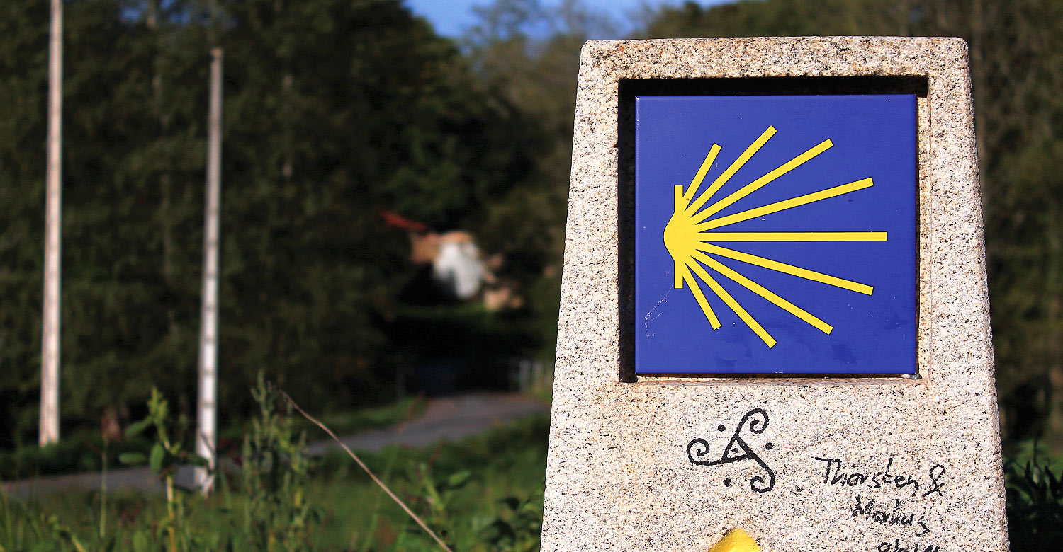 Go on an intimate journey along Camino de Santiago.