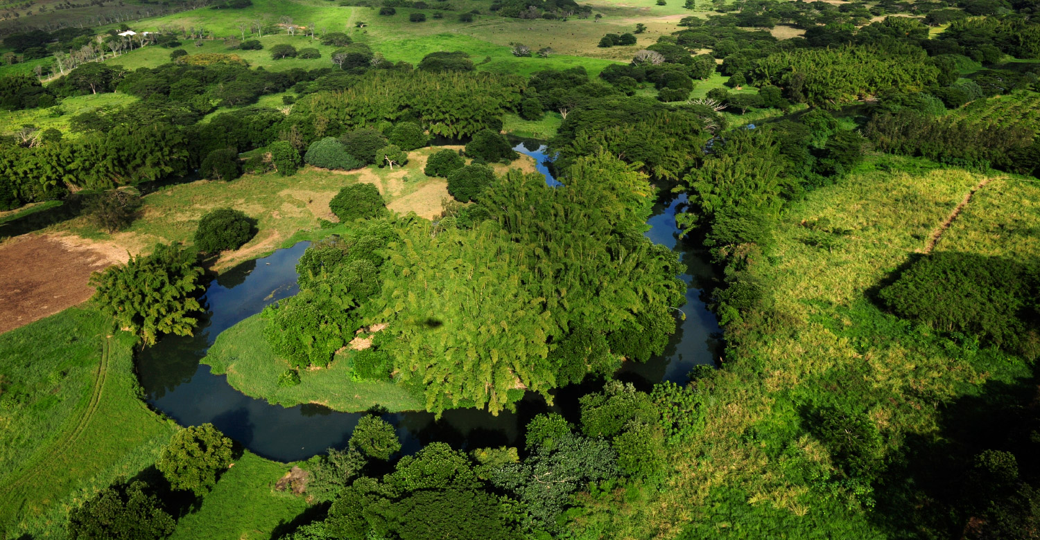 Explore the lush green paradise of La Foa.
