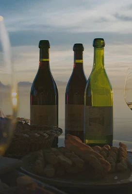 Food & Wine