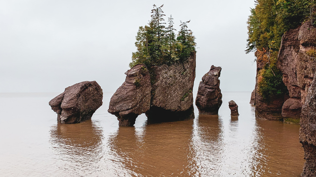 Wolfville → Charlottetown