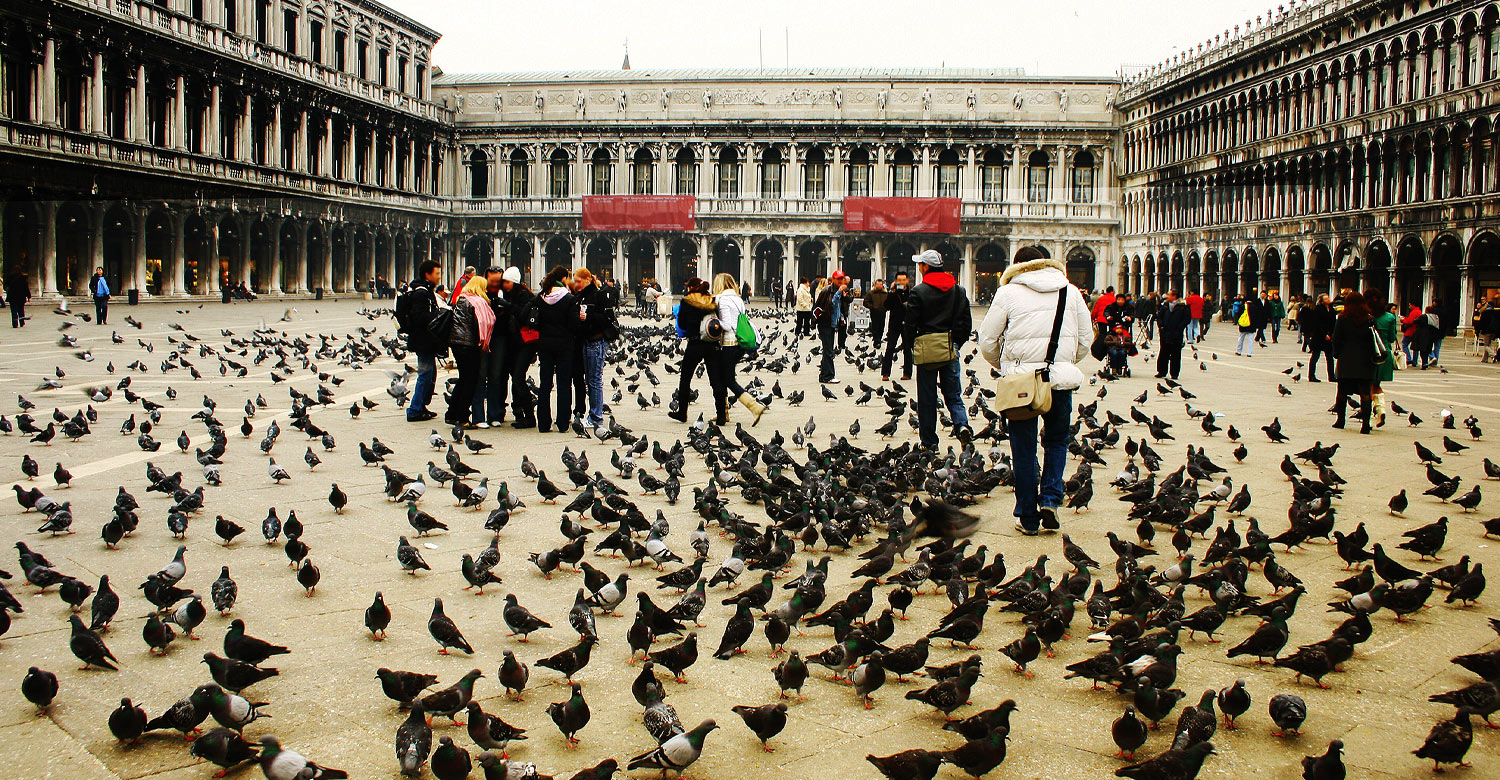 St. Mark's Square in Venice