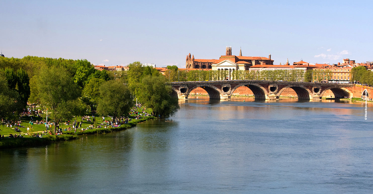 Pont Neuf, Toulouse