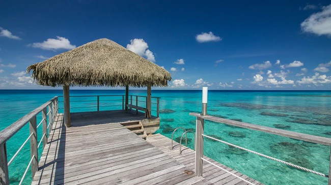 Maitai Rangiroa → Maitai Express Tahiti