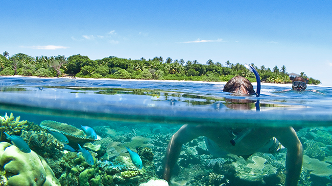 Vomo Island Fiji